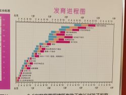 -上海浦滨儿童医院