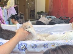 -中粮·祥云小镇