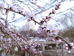 景点-元大都城垣遗址公园