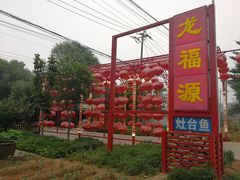 -龙福源密云水库灶台鱼
