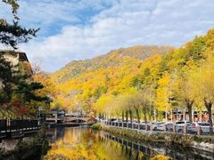 -洛阳白云山景区