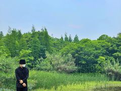 -艾溪湖湿地公园