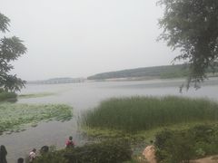 -丁香湖公园