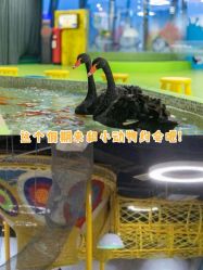 -七巧国萌宠乐园(龙湖天街店)