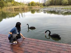 -昆山城市生态森林公园