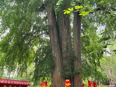 -潭柘寺景区
