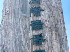 -南通洲际绿博园