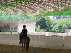 -名驭国际马术学院