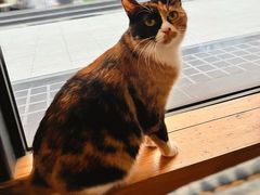 -么么咖啡(燕郊店)