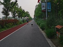 -上海长兴岛郊野公园