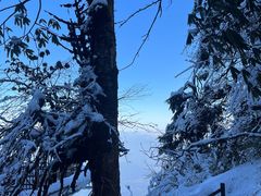 -瓦屋山景区