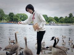 -海德公园