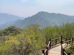 -大岭沟猕猴桃谷风景区