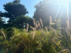 -北京雁栖湖国际会展中心