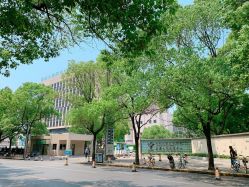 -上海交通大学医学院附属上海儿童医学中心(陆家嘴总院区)