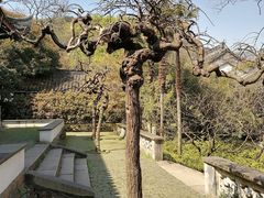 -惠山古镇·寄畅园