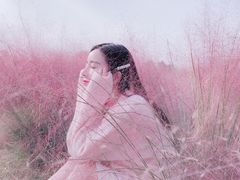 -金卉庄园