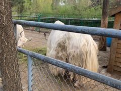 -长白岛森林公园