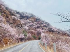 -妙峰山风景名胜区