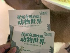 -萌宠奇缘