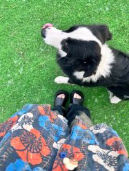 -芊冉•美甲美睫纹绣