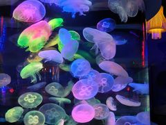 -太平洋海底世界