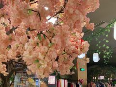-汤泉良子(金源店)