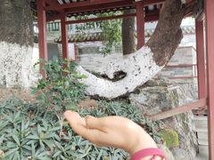 -国恩寺