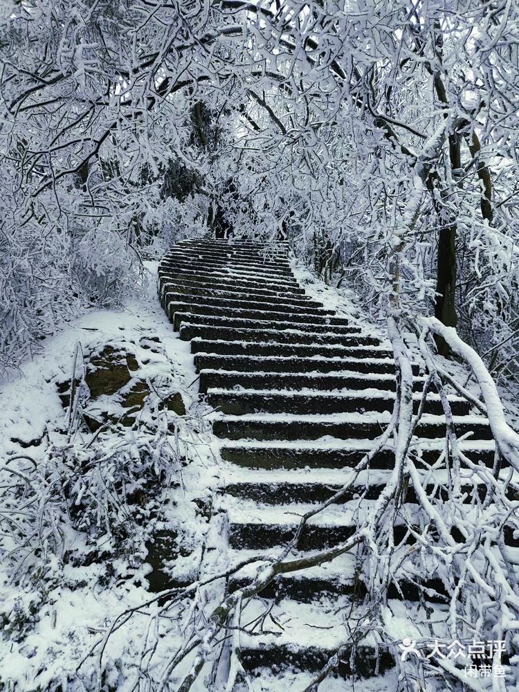 南京雪景紫金山图片