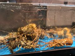 -Mr·Fish鱼鲜生海鲜放题(银泰in99店)