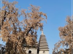 -北京石刻艺术博物馆(五塔寺)