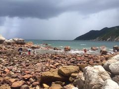 -西涌国际滨海旅游区