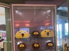 -椰小鸡·琼州糟粕醋·火锅(美兰缤纷城店)