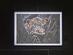 -罗红摄影艺术馆