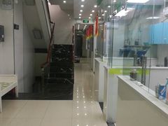 -瑞鹏宠物医院华南总院·夜诊·心脏科·骨科