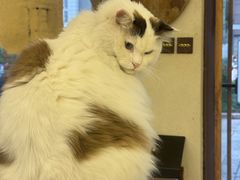 -KUYE·裤爺炼金室·银饰DIY(大运河店)