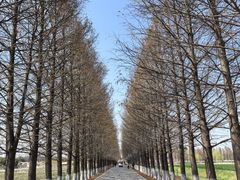 -嘉北郊野公园