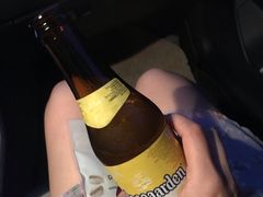 -枫花园汽车电影院(朝阳公园店)