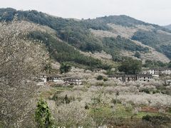 -福建天门山