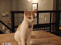 -时光转角咖啡馆(西康路店)