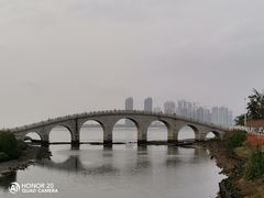 -万绿园