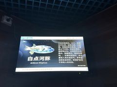 -太平洋海底世界