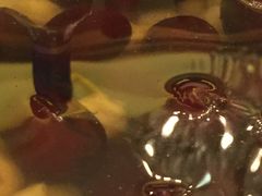 -上海南新雅大酒店