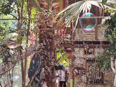 -呀路古热带植物园