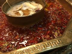 -蜀九香火锅(彩虹店)