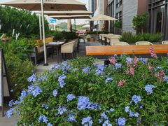 -OGGI TRATTORIA PIZZERIA(深业上城店)