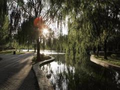 -阿尔丁植物园