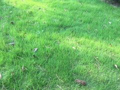 -同济大学(嘉定校区)