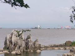 -上海吴淞炮台湾国家湿地公园