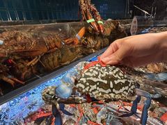 -雍容荟帝王蟹活龙虾展台自助(IFS黑金店)